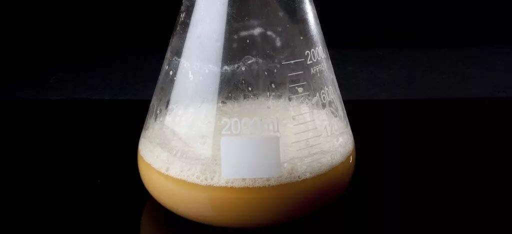 酵母發(fā)酵起泡是怎么回事，怎么處理這些泡沫？