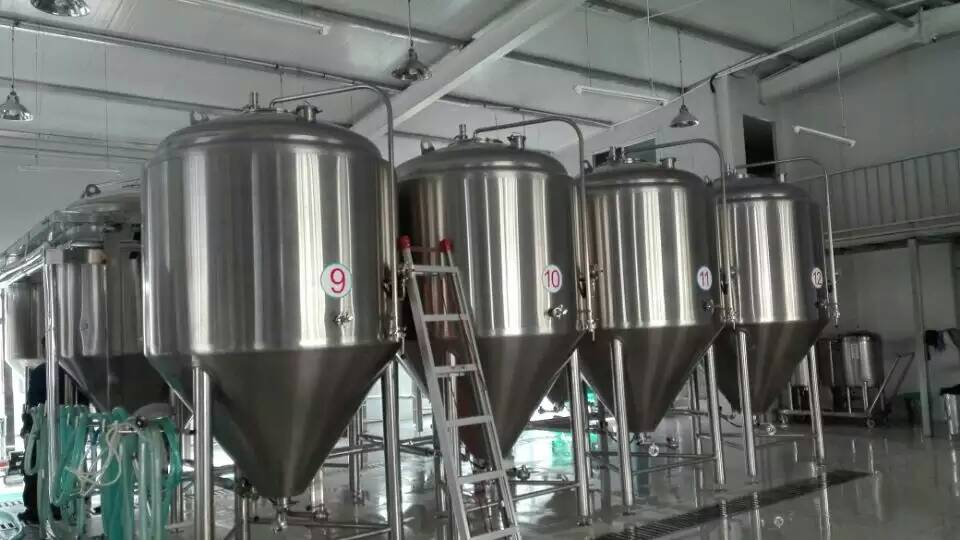 真菌發(fā)酵起泡原因有哪些？怎么解決泡沫問題？